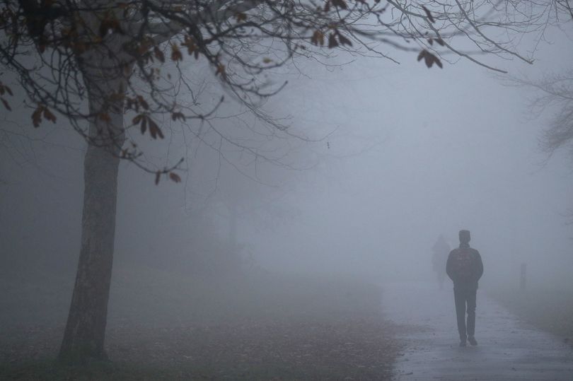 Foggie